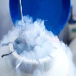 Is Egg Freezing in Singapore the Right Choice for You?