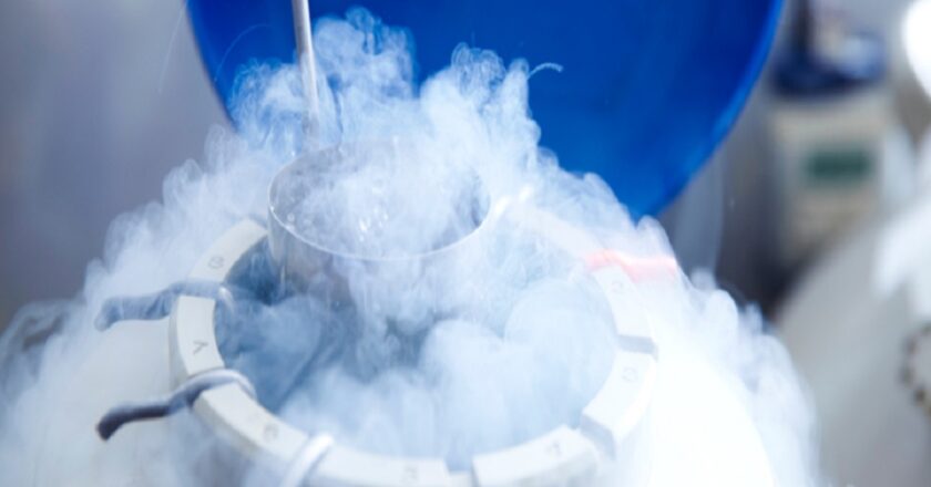 Is Egg Freezing in Singapore the Right Choice for You?