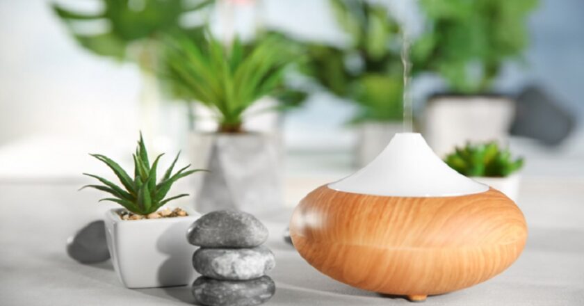 The Future of Aromatherapy Diffusers: Trends to Watch in 2024