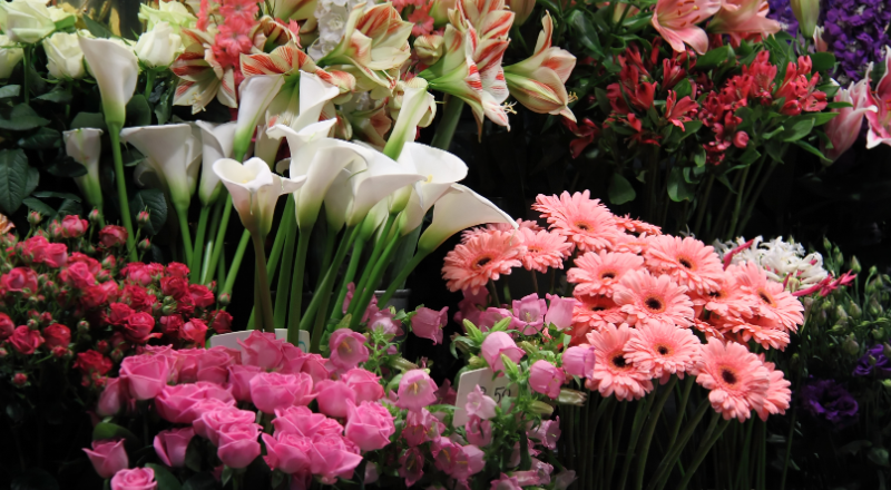 What to Know Before Opting for Flower Delivery in Singapore